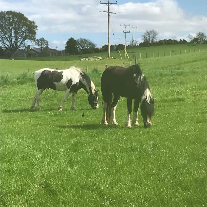 הוילה אינברנס Highland Rural Farm Retreat,Loch Ness, Nc500, Beauly מראה חיצוני תמונה